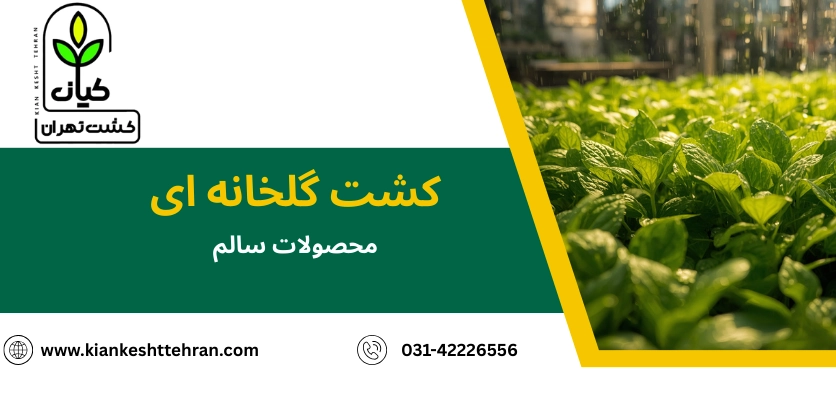 تغذیه گیاهان - کشت گلخانه ‌ای