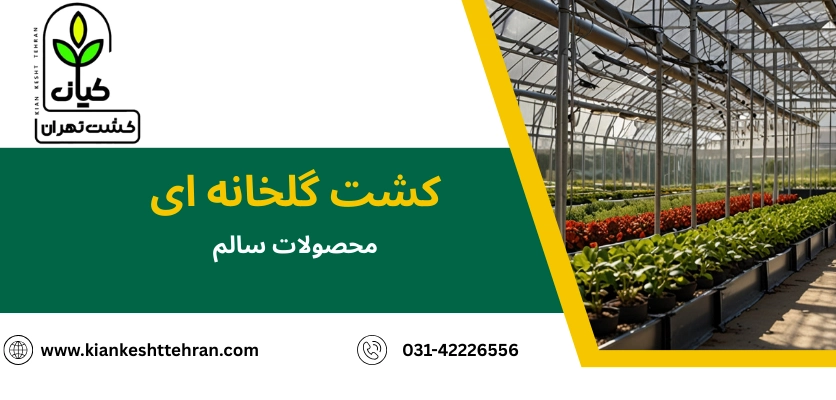 محصولات سالم - کشت گلخانه ‌ای