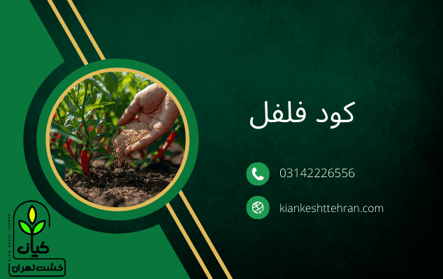 بهترین روش برای رشد این گیاه - کود فلفل