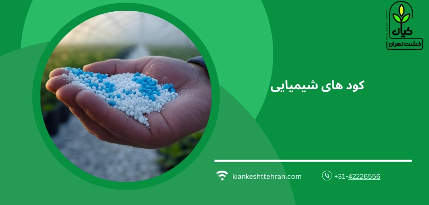 کود های شیمیایی - بهترین کود برای فلفل