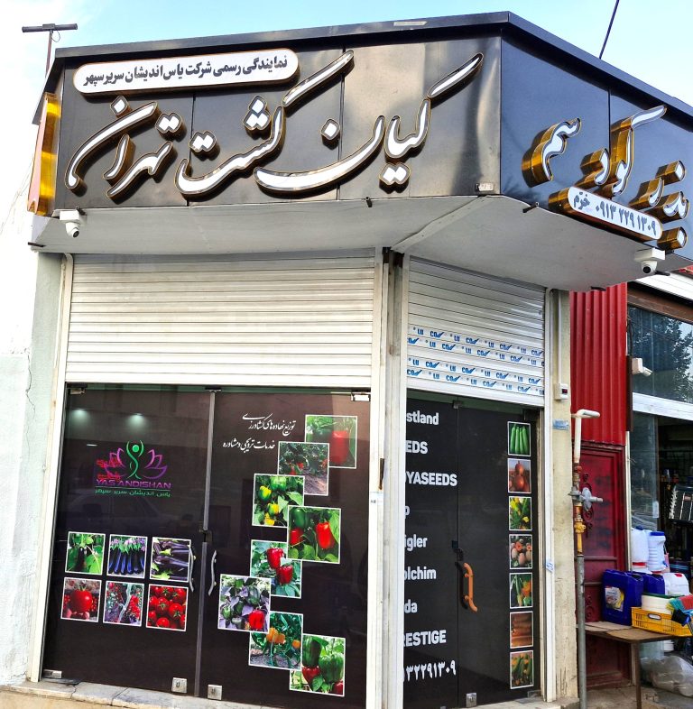 کیان کشت تهران