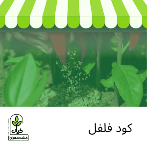 کود فلفل - کود فلفل