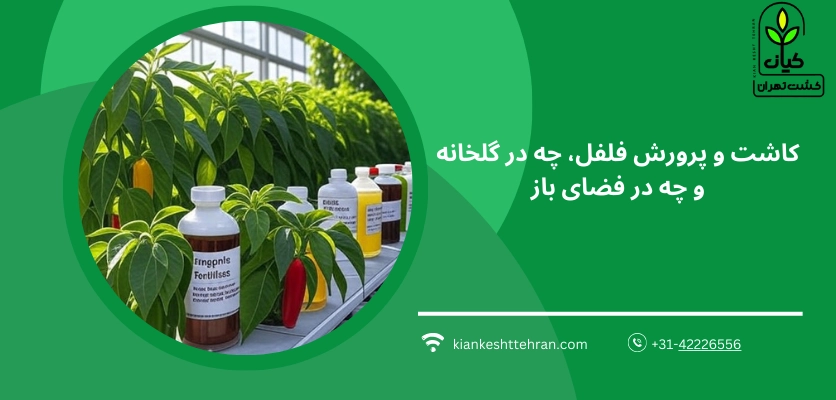 کود مناسب - بهترین کود برای فلفل