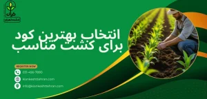 کود - بهترین کود