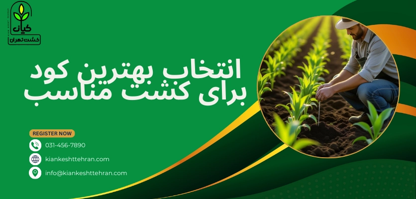 کود - بهترین کود