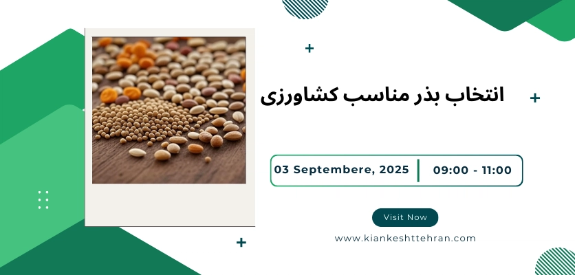 انتخاب بذر - انتخاب بذر مناسب