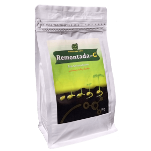 ریمونتادا جی - Remontada G